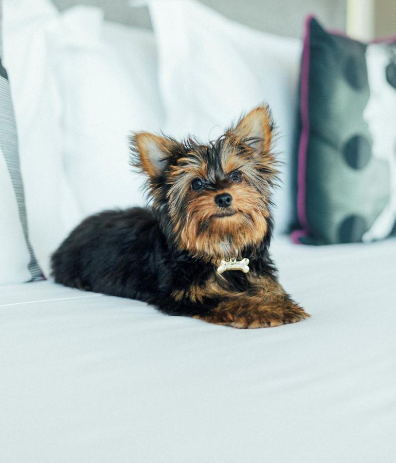 Standard Single Room,1453039366:JPEG