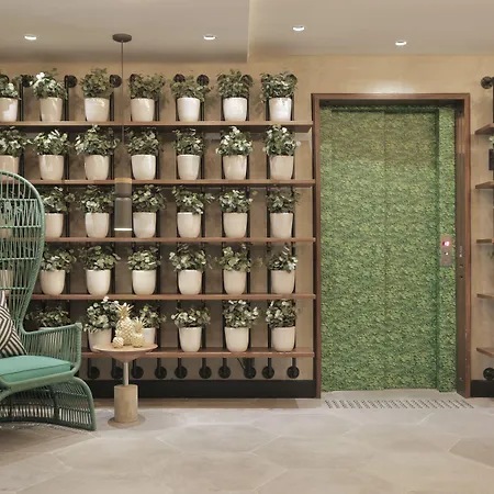 Yoo2 Rio De Janeiro, Tapestry Collection By Hilton-2