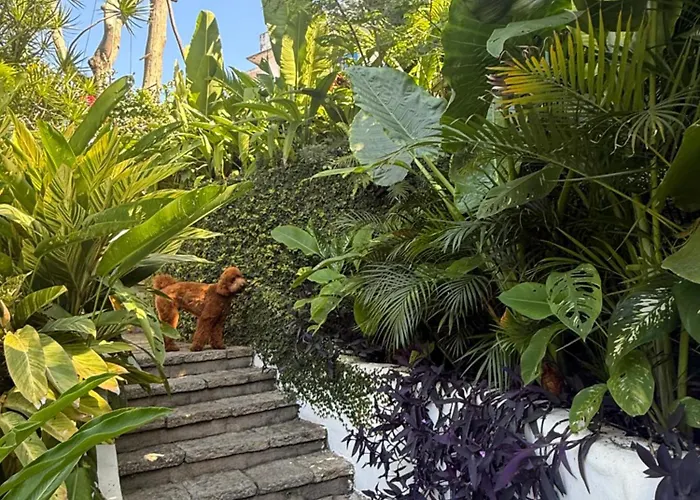 L'Homme de Rio Boutique Hotel Rio de Janeiro